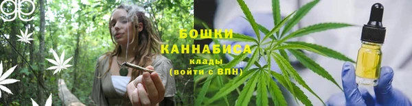 mdma Богородицк