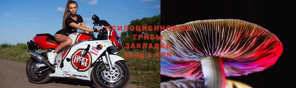 дживик Горнозаводск