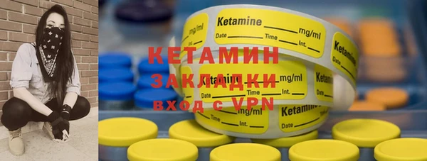 дмт Богданович