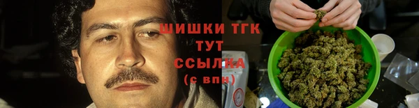 mdma Богородицк