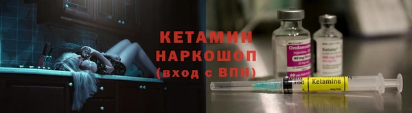 дмт Богданович