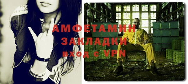 дмт Богданович