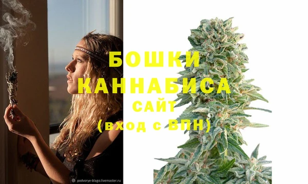 дживик Горнозаводск
