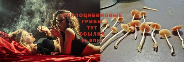 гашик Бугульма