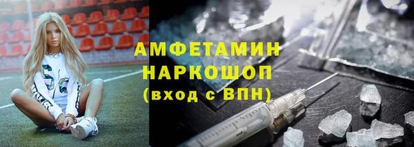 PSILOCYBIN Горняк