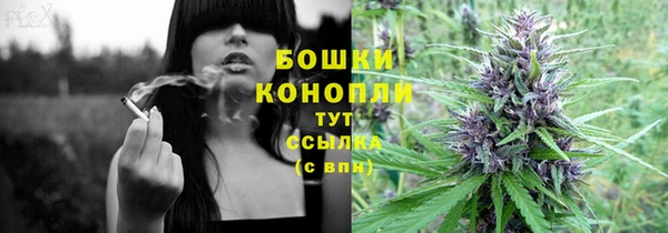 PSILOCYBIN Горняк