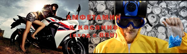 дмт Богданович